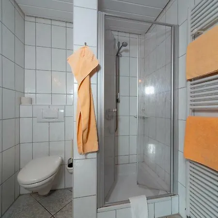 Hotel Wirtshaus & Zur Alten Brauerei Zapf 3*